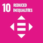 icon SDG10