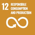 icon SDG12