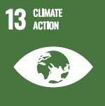 icon SDG13