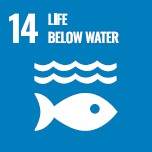 icon SDG14