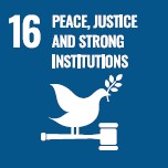 icon SDG16
