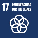 icon SDG17