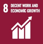 icon SDG8