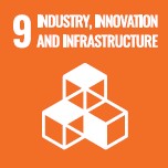 icon SDG9